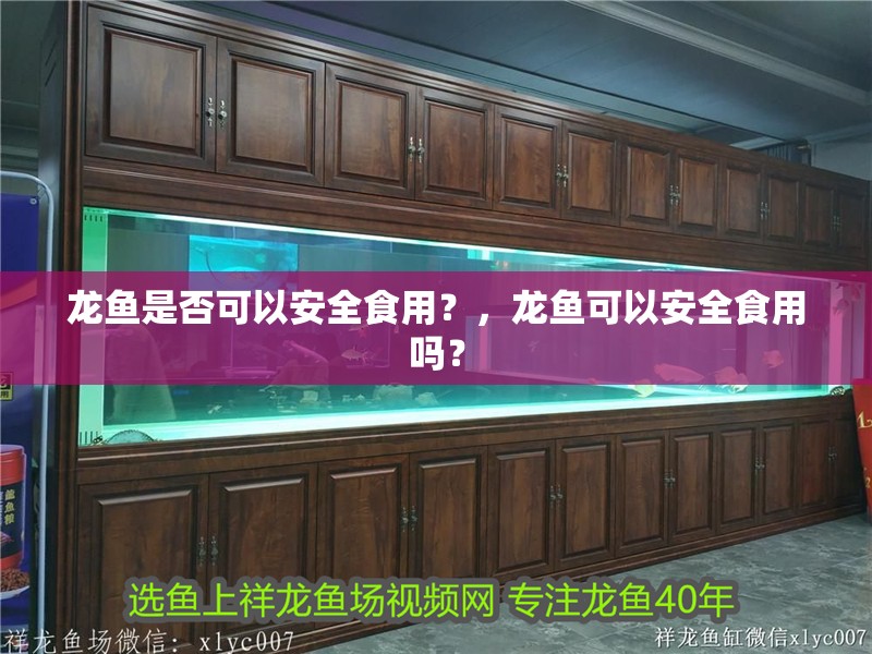 龍魚是否可以安全食用？，龍魚可以安全食用嗎？