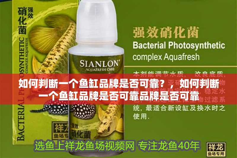如何判斷一個魚缸品牌是否可靠？，如何判斷一個魚缸品牌是否可靠品牌是否可靠