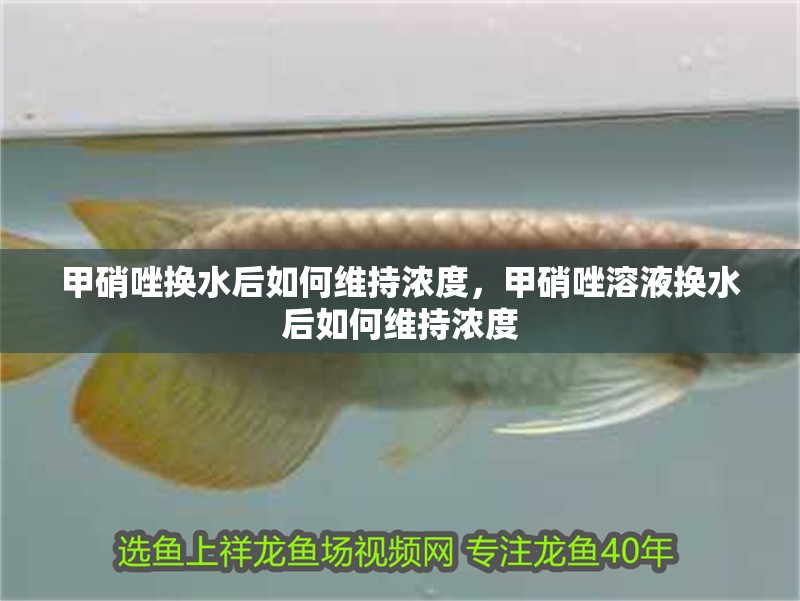 甲硝唑換水后如何維持濃度，甲硝唑溶液換水后如何維持濃度