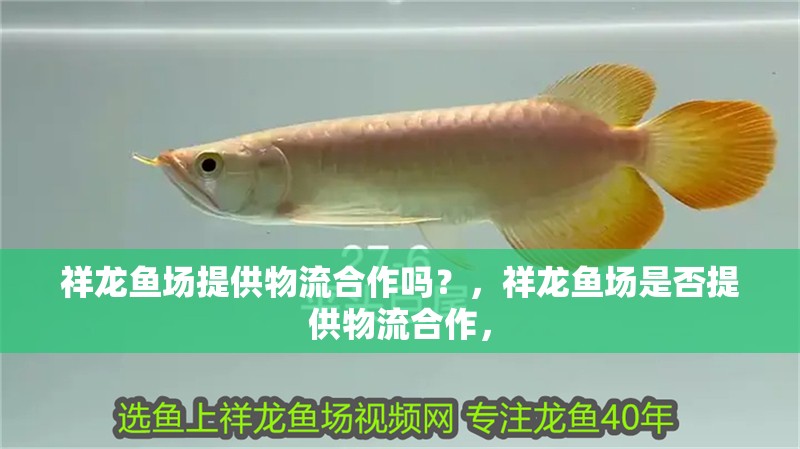 祥龍魚場提供物流合作嗎？，祥龍魚場是否提供物流合作，