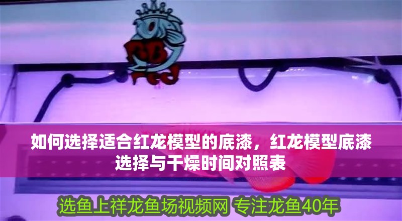 如何選擇適合紅龍模型的底漆，紅龍模型底漆選擇與干燥時間對照表