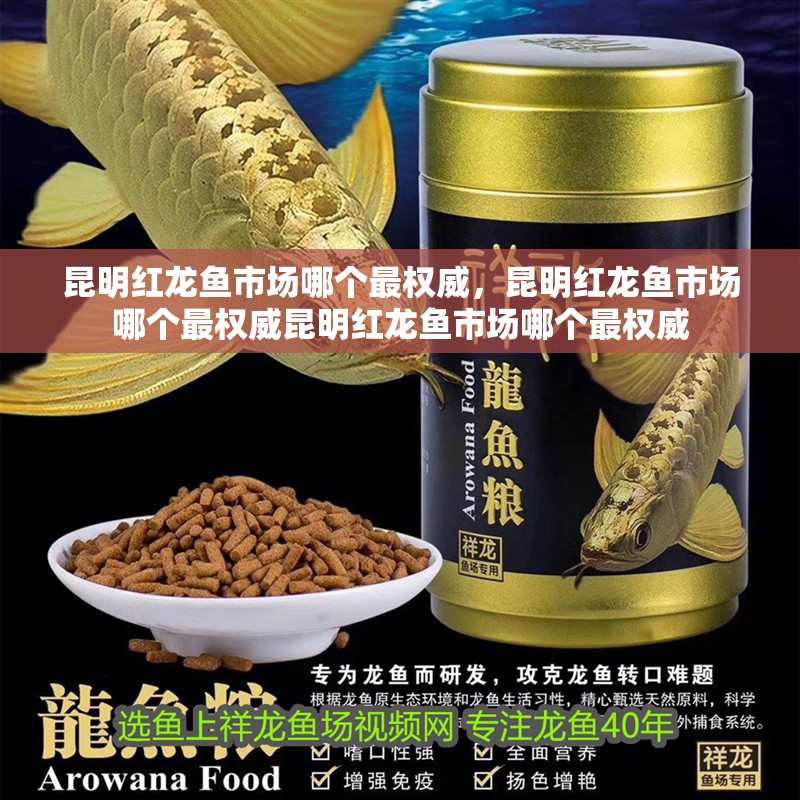 給我一張龍魚的價格表圖片，龍魚價格波動大嗎，龍魚的價格波動大嗎，有哪些品種值得收藏