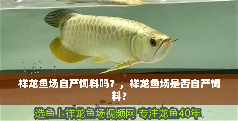 祥龍魚場自產飼料嗎？，祥龍魚場是否自產飼料？