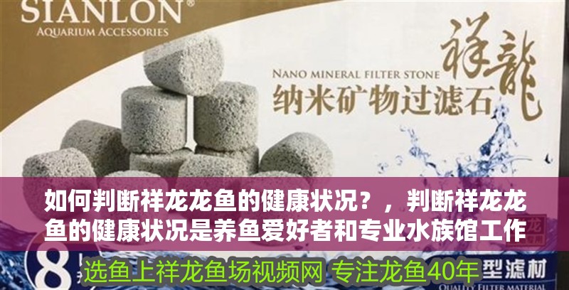 如何判斷祥龍龍魚(yú)的健康狀況？，判斷祥龍龍魚(yú)的健康狀況是養(yǎng)魚(yú)愛(ài)好者和專業(yè)水族館工作人員的一項(xiàng)重要任務(wù)