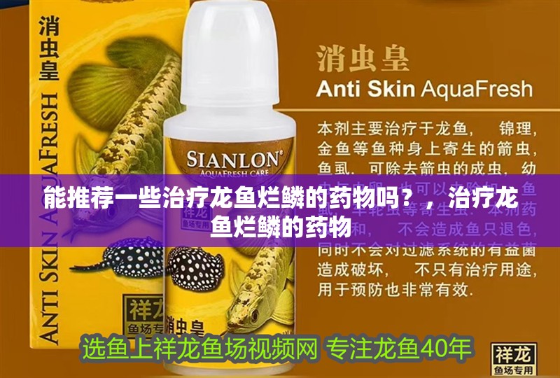 龍魚抖抖的梗與哪些文化現象相關？，“龍魚抖抖”的梗與哪些文化現象相關？