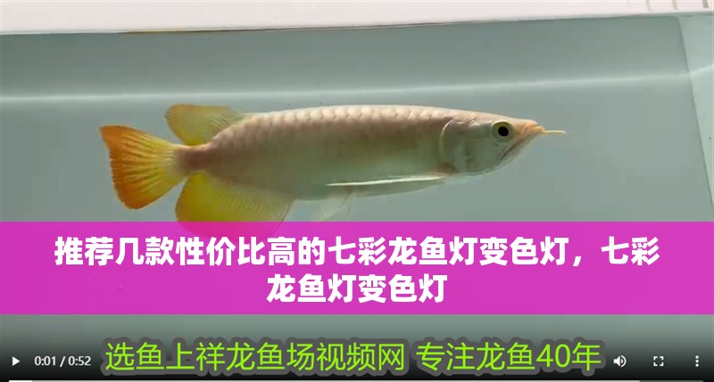 推薦幾款性價比高的七彩龍魚燈變色燈，七彩龍魚燈變色燈