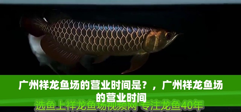 廣州祥龍魚場的營業(yè)時間是？，廣州祥龍魚場的營業(yè)時間