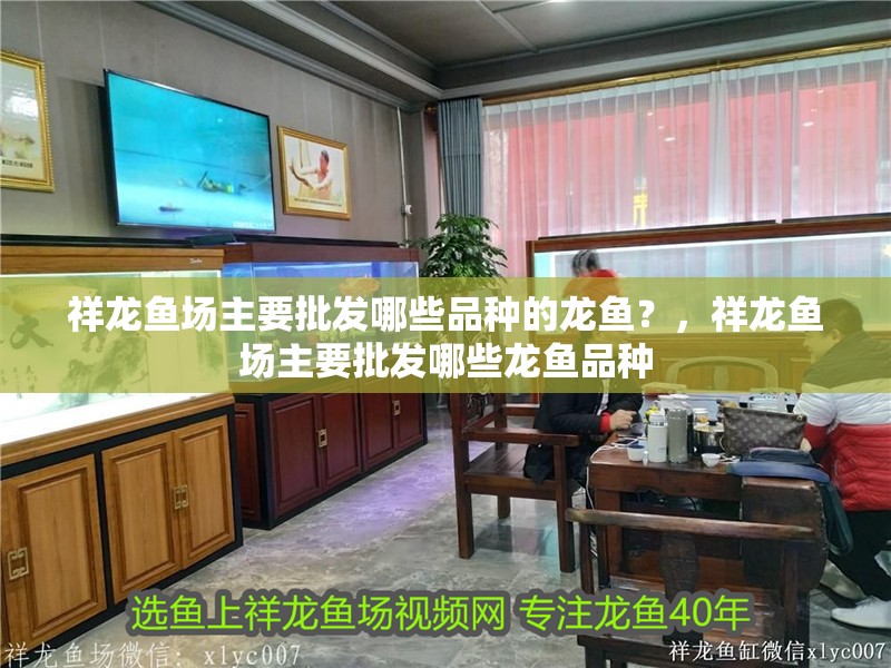 祥龍魚場主要批發(fā)哪些品種的龍魚？，祥龍魚場主要批發(fā)哪些龍魚品種