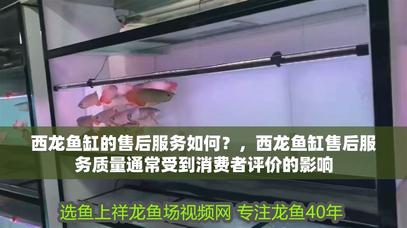 西龍魚缸的售后服務如何？，西龍魚缸售后服務質量通常受到消費者評價的影響