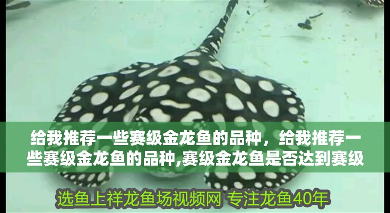 給我推薦一些賽級金龍魚的品種，給我推薦一些賽級金龍魚的品種,賽級金龍魚是否達到賽級標準