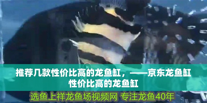 推薦幾款性價比高的龍魚缸，——京東龍魚缸性價比高的龍魚缸