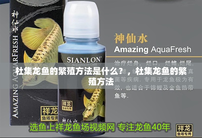 杜集龍魚的繁殖方法是什么？，杜集龍魚的繁殖方法