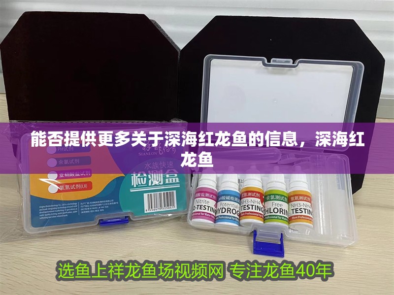 能否提供更多關于深海紅龍魚的信息，深海紅龍魚