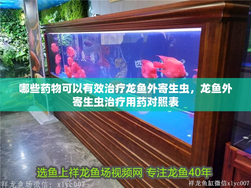 哪些藥物可以有效治療龍魚外寄生蟲，龍魚外寄生蟲治療用藥對照表