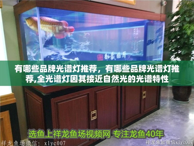 有哪些品牌光譜燈推薦，有哪些品牌光譜燈推薦,全光譜燈因其接近自然光的光譜特性
