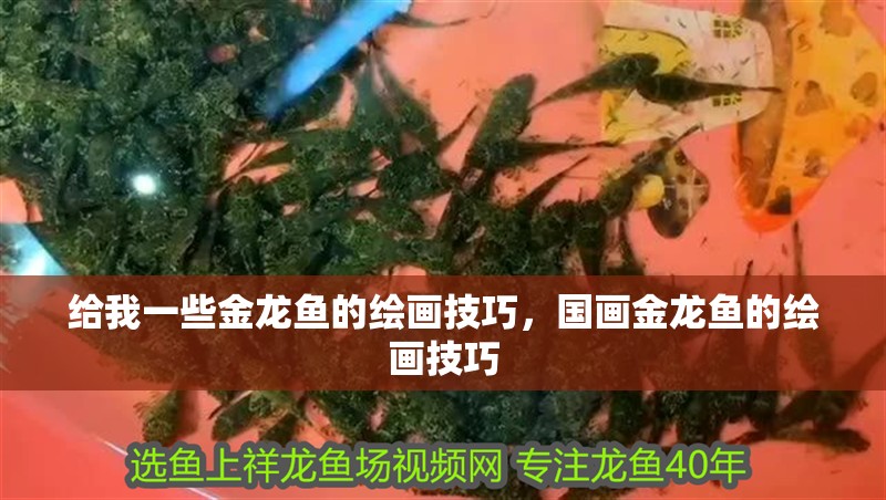 給我一些金龍魚的繪畫技巧，國畫金龍魚的繪畫技巧