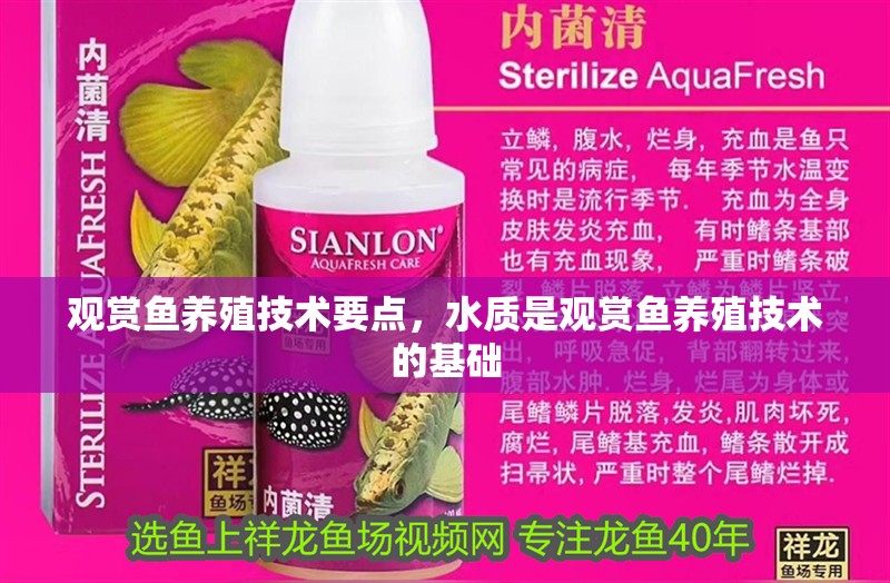 觀賞魚養(yǎng)殖技術(shù)要點(diǎn)，水質(zhì)是觀賞魚養(yǎng)殖技術(shù)的基礎(chǔ)