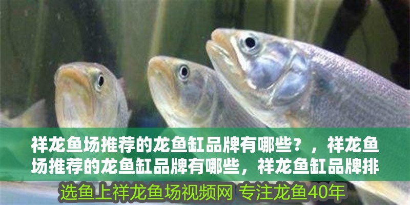 祥龍魚場(chǎng)推薦的龍魚缸品牌有哪些？，祥龍魚場(chǎng)推薦的龍魚缸品牌有哪些，祥龍魚缸品牌排行榜