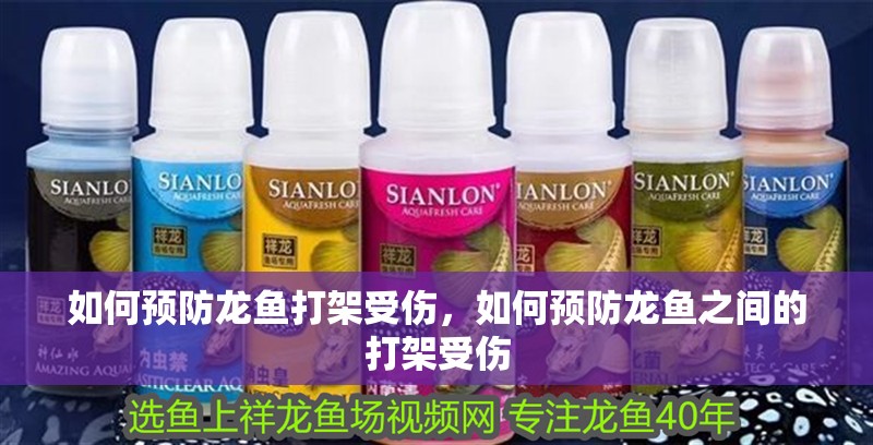 如何預防龍魚打架受傷，如何預防龍魚之間的打架受傷