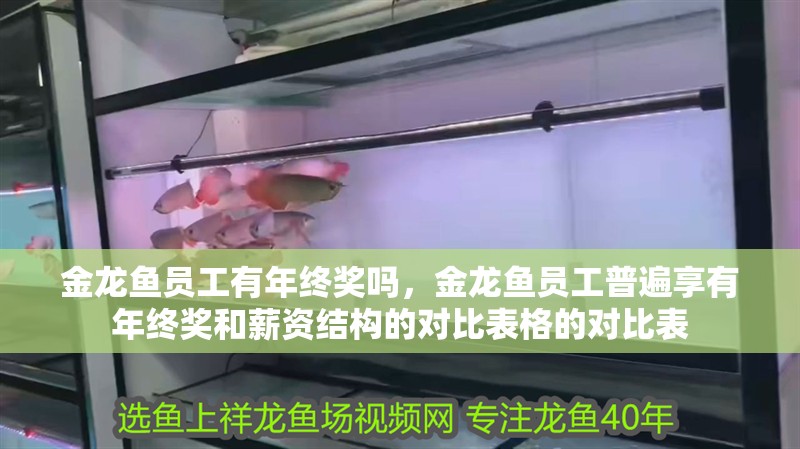 金龍魚員工有年終獎嗎，金龍魚員工普遍享有年終獎和薪資結構的對比表格的對比表