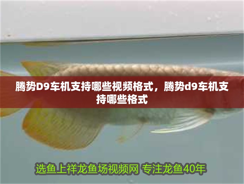 騰勢D9車機(jī)支持哪些視頻格式，騰勢d9車機(jī)支持哪些格式