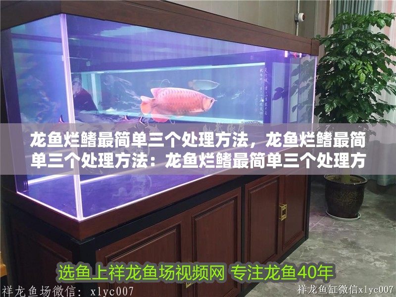 龍魚(yú)爛鰭最簡(jiǎn)單三個(gè)處理方法，龍魚(yú)爛鰭最簡(jiǎn)單三個(gè)處理方法：龍魚(yú)爛鰭最簡(jiǎn)單三個(gè)處理方法