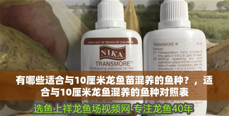 有哪些適合與10厘米龍魚苗混養(yǎng)的魚種？，適合與10厘米龍魚混養(yǎng)的魚種對照表