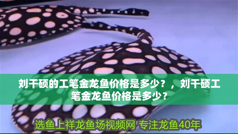 劉干碩的工筆金龍魚價格是多少？，劉干碩工筆金龍魚價格是多少？