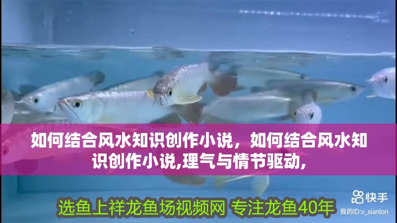 如何結合風水知識創作小說，如何結合風水知識創作小說,理氣與情節驅動,