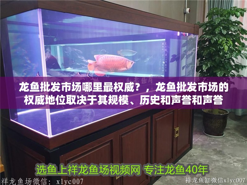 龍魚批發(fā)市場(chǎng)哪里最權(quán)威？，龍魚批發(fā)市場(chǎng)的權(quán)威地位取決于其規(guī)模、歷史和聲譽(yù)和聲譽(yù)