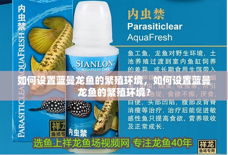 如何設(shè)置藍(lán)曼龍魚的繁殖環(huán)境，如何設(shè)置藍(lán)曼龍魚的繁殖環(huán)境？