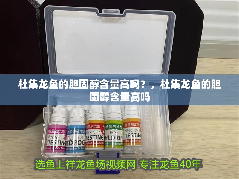 杜集龍魚的膽固醇含量高嗎？，杜集龍魚的膽固醇含量高嗎