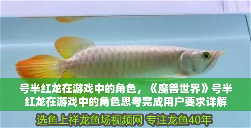 號半紅龍在游戲中的角色，《魔獸世界》號半紅龍在游戲中的角色思考完成用戶要求詳解