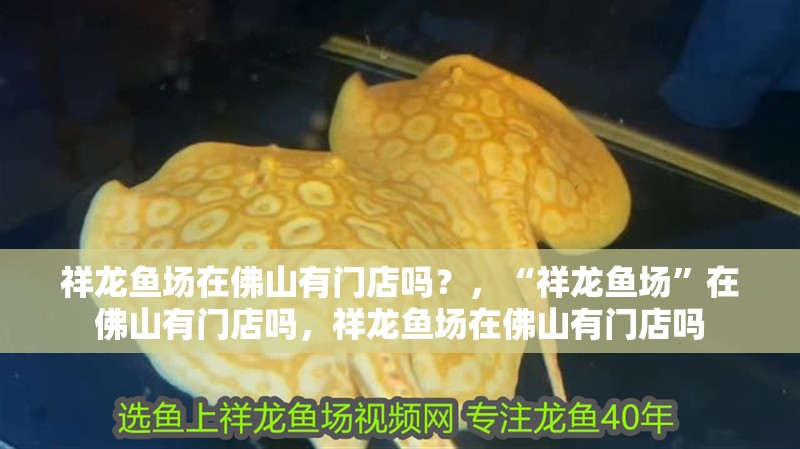 祥龍魚場在佛山有門店嗎？，“祥龍魚場”在佛山有門店嗎，祥龍魚場在佛山有門店嗎