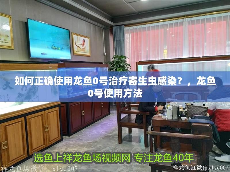 如何正確使用龍魚0號治療寄生蟲感染？，龍魚0號使用方法