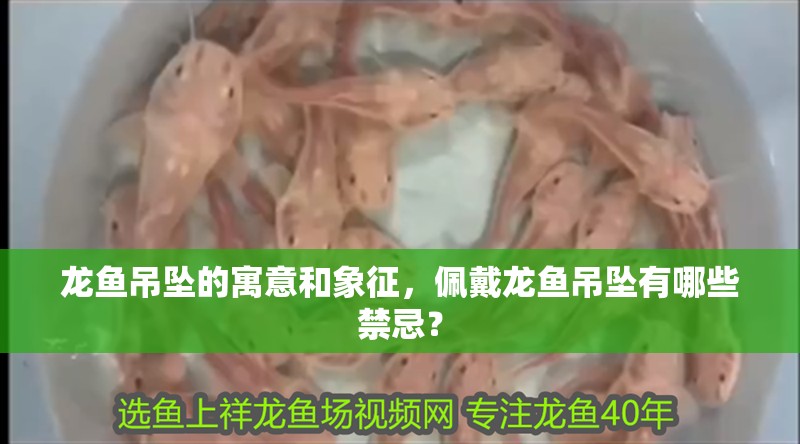 龍魚吊墜的寓意和象征，佩戴龍魚吊墜有哪些禁忌？