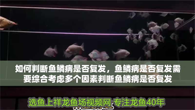 如何判斷魚(yú)鱗病是否復(fù)發(fā)，魚(yú)鱗病是否復(fù)發(fā)需要綜合考慮多個(gè)因素判斷魚(yú)鱗病是否復(fù)發(fā)