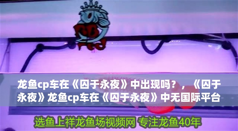 龍魚cp車在《囚于永夜》中出現嗎？，《囚于永夜》龍魚cp車在《囚于永夜》中無國際平臺
