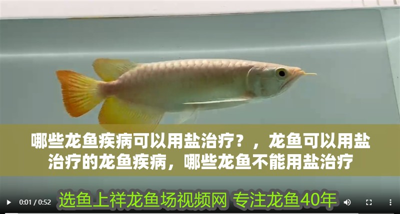 哪些龍魚疾病可以用鹽治療？，龍魚可以用鹽治療的龍魚疾病，哪些龍魚不能用鹽治療