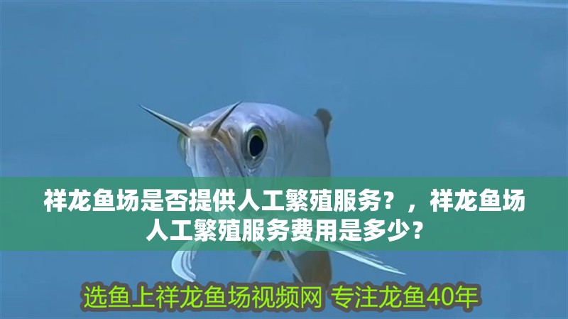 祥龍魚場是否提供人工繁殖服務？，祥龍魚場人工繁殖服務費用是多少？