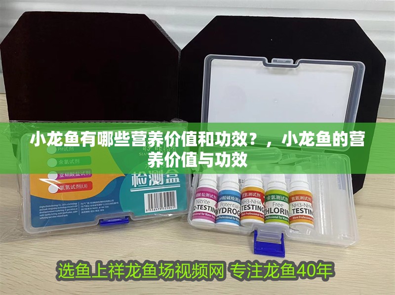 小龍魚有哪些營養價值和功效？，小龍魚的營養價值與功效