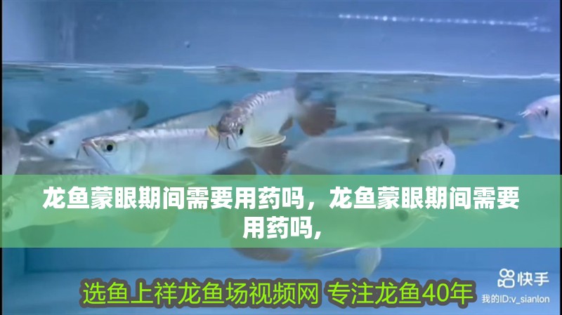 龍魚蒙眼期間需要用藥嗎，龍魚蒙眼期間需要用藥嗎,