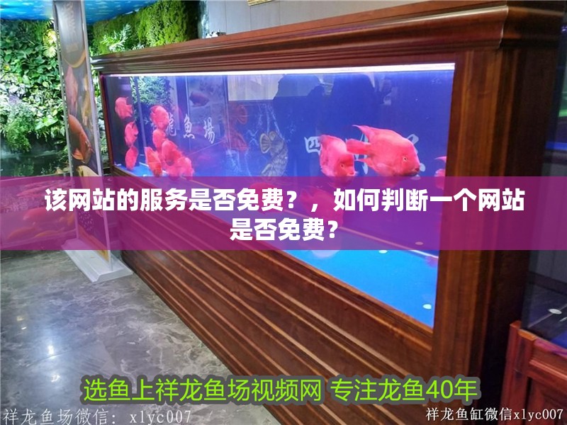 該網站的服務是否免費？，如何判斷一個網站是否免費？
