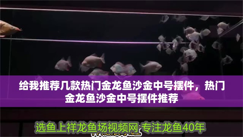 給我推薦幾款熱門金龍魚沙金中號擺件,熱門金龍魚沙金中號擺件推薦