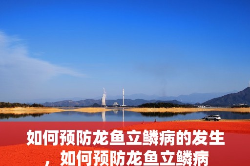 如何預(yù)防龍魚立鱗病的發(fā)生，如何預(yù)防龍魚立鱗病