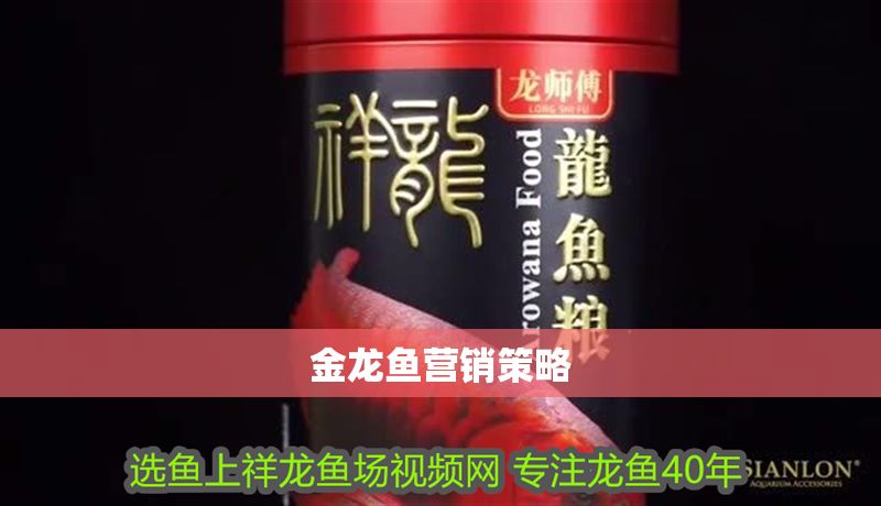 金龍魚營銷策略