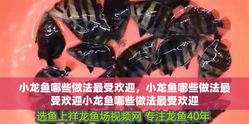 小龍魚哪些做法最受歡迎，小龍魚哪些做法最受歡迎小龍魚哪些做法最受歡迎