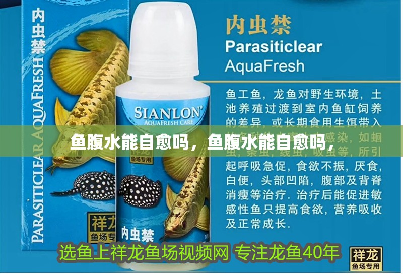 魚腹水能自愈嗎，魚腹水能自愈嗎，