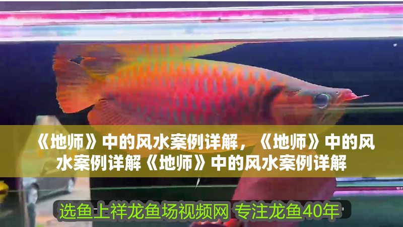 《地師》中的風水案例詳解，《地師》中的風水案例詳解《地師》中的風水案例詳解