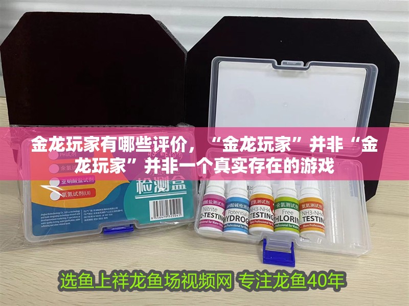 金龍玩家有哪些評價，“金龍玩家”并非“金龍玩家”并非一個真實存在的游戲